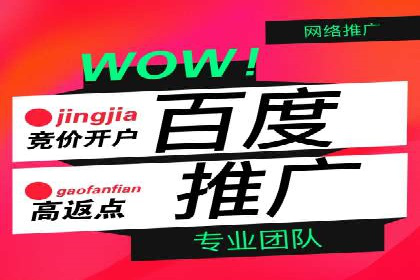 百度竞价公司成功案例揭秘：如何快速提升品牌曝光度